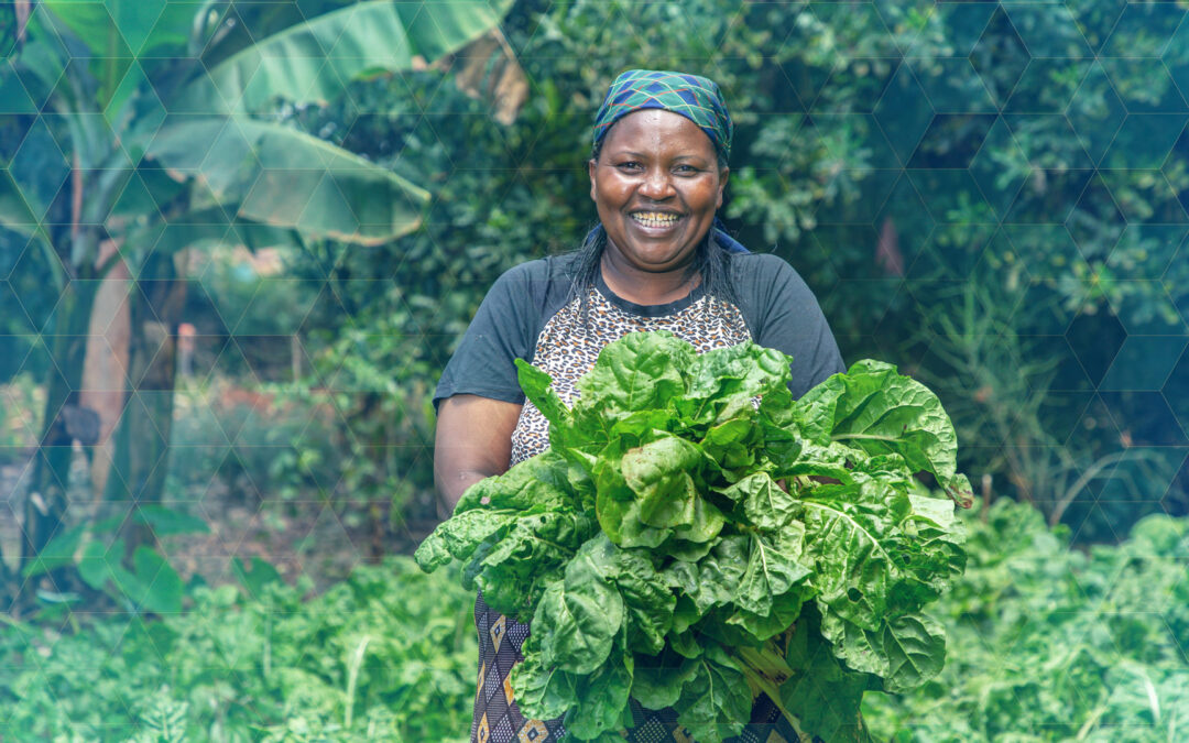 Erste private Euro-Investoren in Fonds der Vereinten Nationen